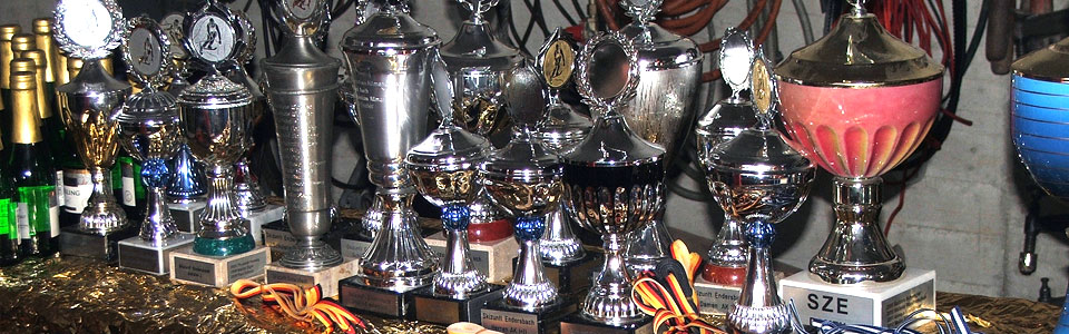 Skizunft Endersbach Weinstadtmeisterschaften 2015 Pokale